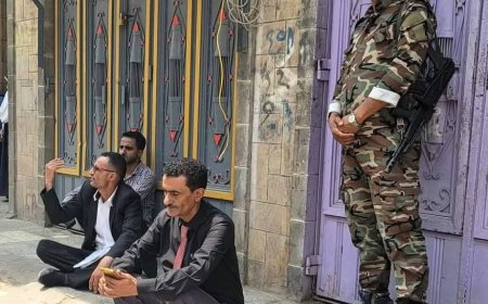 ضبط دجاج فاسد بتعز.. موقف صارم من مدير عام "القاهرة" يحمي صحة المواطنين