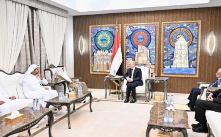رئيس مجلس القيادة يشيد بالتدخلات الاماراتية في مجال الطاقة الكهربائية