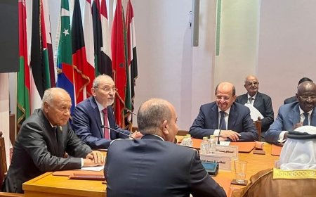 وزير الخارجية يشارك في اجتماع الدورة العادية الـ (164) على المستوى الوزاري