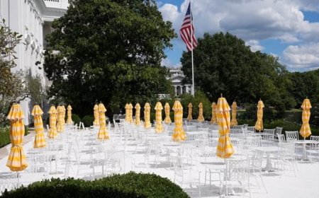 ترامب يستضيف قادة التكنولوجيا.. ماعدا ماسك !