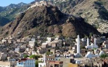 مدير المسالخ بتعز يكشف مفاجأة: "بسكويت بالكريمة منتهي الصلاحية يسمح له بالمرور إلى المدينة
