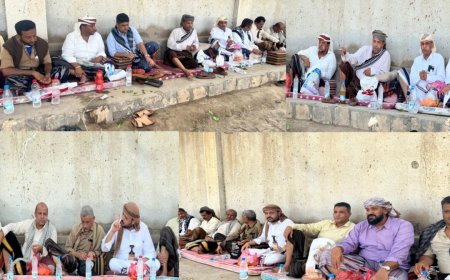 وفد بارز من مشايخ وقيادات تهامة يلتقي محافظ أبين ومدير أمنها