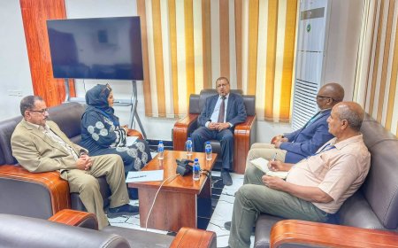 رئيس مجلس القضاء الأعلى يلتقي ممثل المفوضية السامية لحقوق الإنسان لدى اليمن