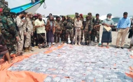 الحملة الأمنية المشتركة تضبط كمية كبيرة من المخدرات في ساحل رأس العارة بلحج