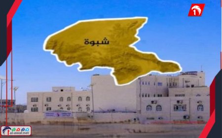 رسالة عاجلة لتعزيز الأمن وحل قضايا الثأر في مديرية الصعيد بمحافظة شبوة