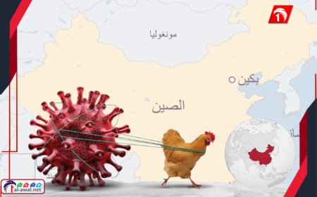الصين تهدد البشرية مرة أخرى!!.. إنفلونزا الطيور تعود بسلالات أكثر خطورةً