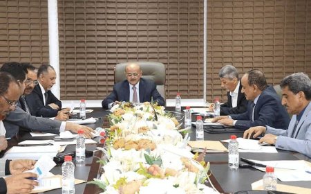 لجنة تمويل الواردات تناقش نتائج التعامل مع طلبات الاستيراد بمختلف أنواعها