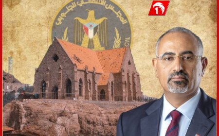 أول تعليق لـ(بن بريك) حول قرارات (الزبيدي)
