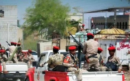 تعز.الشرطة العسكرية تضبط شحنتين محملتين بمبيدات واسمدة كيماوية بالكدحة.