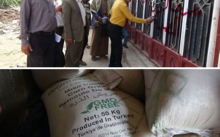 تعز. ضبط 1500 كيس من جريش الذرةالمستخدم في صناعة تسالي الأطفال منتهي الصلاحية.