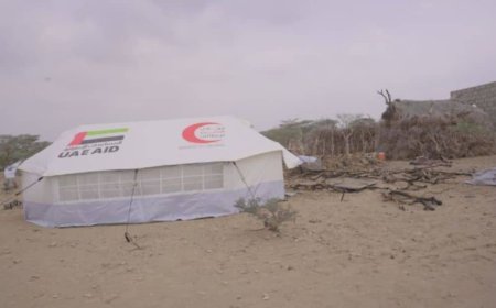 تعز :  الخلية الإنسانية تتدخل لإغاثة أربعة أيتام بعد احتراق منزلهم في المخا.