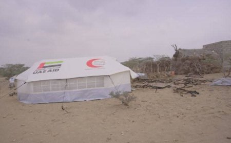 خلية الأعمال الإنسانية تقدم مساعدات إيوائية وغذائية لأسرة أيتام تعرض منزلهم للحريق في ريف المخا