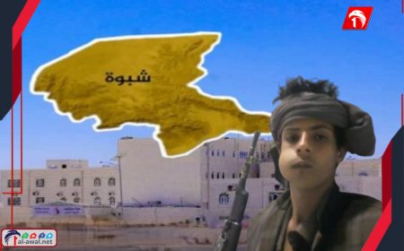 الكشف عن هوية الشاب الذي قتل بشبوة وتفاصيل للحظات المروعة !