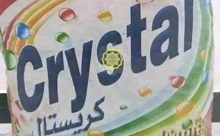  بـ(شنطة كريستال).. فن النصب:  مسافر يخدع مواطن تفاصيل 