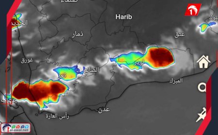خاصة (الضالع وأبين وشبوة).. تحذيرات من أمطار غزيرة موجهة لعدة محافظات