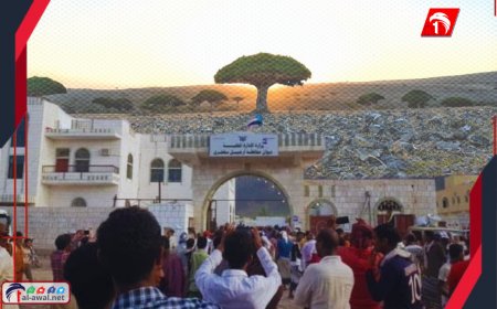  اقتحام مبنى المحافظة.. قيادة إماراتية جديدة.. القصة الكاملة لكل ما جرى في سقطرى 