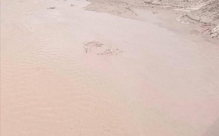 وفاة خمس نساء من أسرة واحدة غرقًا في حفرية مائية بأبين