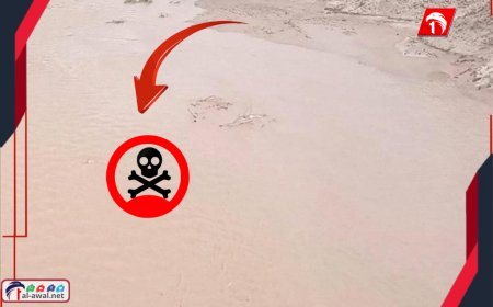 مصيبة أحور الكبرى.. غرق 5 نساء من أسرة واحدة في حفرة مائية
