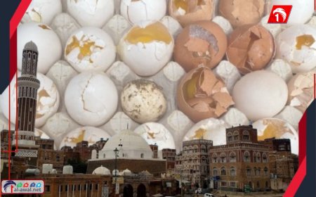 (طبق بيض) يشعل ثورة في صنعاء