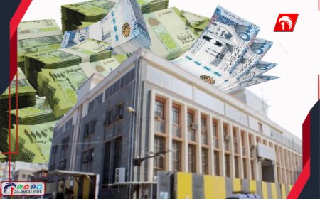 (المنحة السعودية) لم تودع في البنك المركزي!.. خبير اقتصادي يكشف السبب