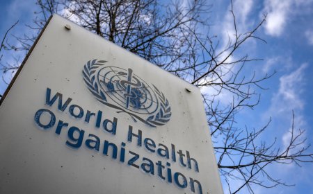 هل توجد صلة بين الباراسيتامول و مرض التوحد ؟ الصحة العالمية ترد