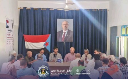 بحضور فريق التوجيه والرقابة الرئاسي.. تنفيذية انتقالي دار سعد تعقد اجتماعها الدوري لشهر سبتمبر