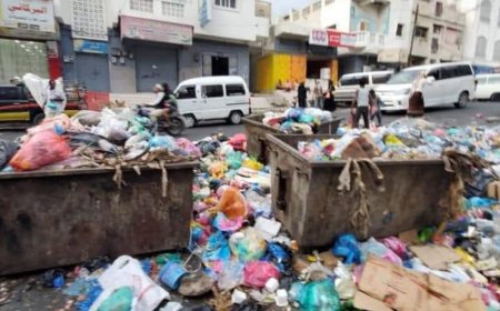 تعز تختنق بالقمامة والأوبئة.