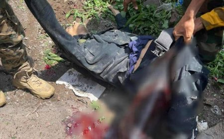 باحث سياسي كبير:  تصفية (قاتل افتهان)  مخرج مثالي للإصلاح في تعز