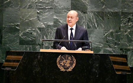 رئيس مجلس القيادة يدعو الى تحالف دولي لمكافحة ارهاب مليشيات إيران في اليمن والمنطقة