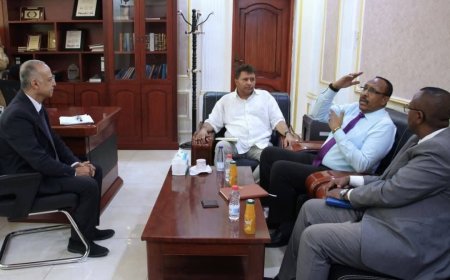 النائب العام يلتقي سفير الصومال لبحث التعاون القضائي وأوضاع السجينات الصوماليات