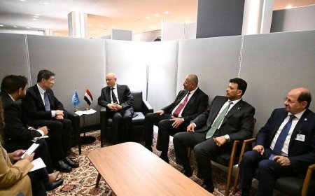 رئيس مجلس القيادة يشيد بتدخلات البرنامج الانمائي للأمم المتحدة