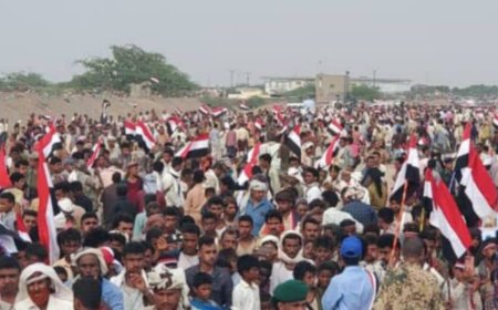 تعز.مديرية المخا تشهد انطلاق فعاليات مهرجان الذكرى 63 لثورة 26 سبتمبر.