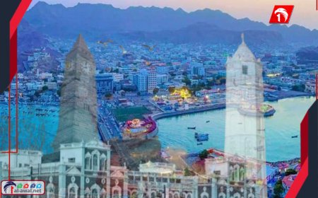 صحفي يكشف عن أفضل مشروع (ناجح) في عدن (فيديو) 