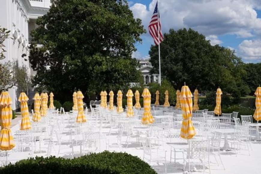 ترامب يستضيف قادة التكنولوجيا.. ماعدا ماسك !