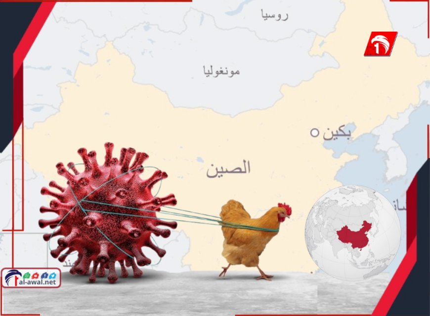 الصين تهدد البشرية مرة أخرى!!.. إنفلونزا الطيور تعود بسلالات أكثر خطورةً