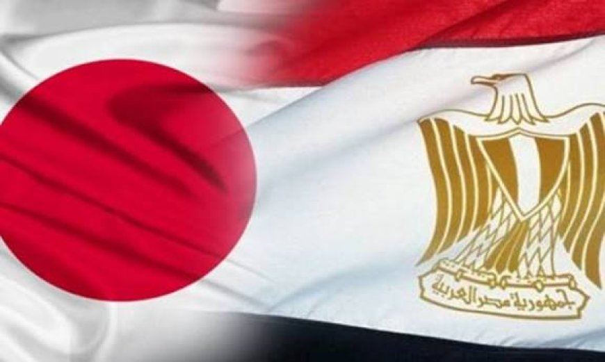مظاهرات احتجاجية في اليابان بسبب مصر .. ماذا يجري ؟