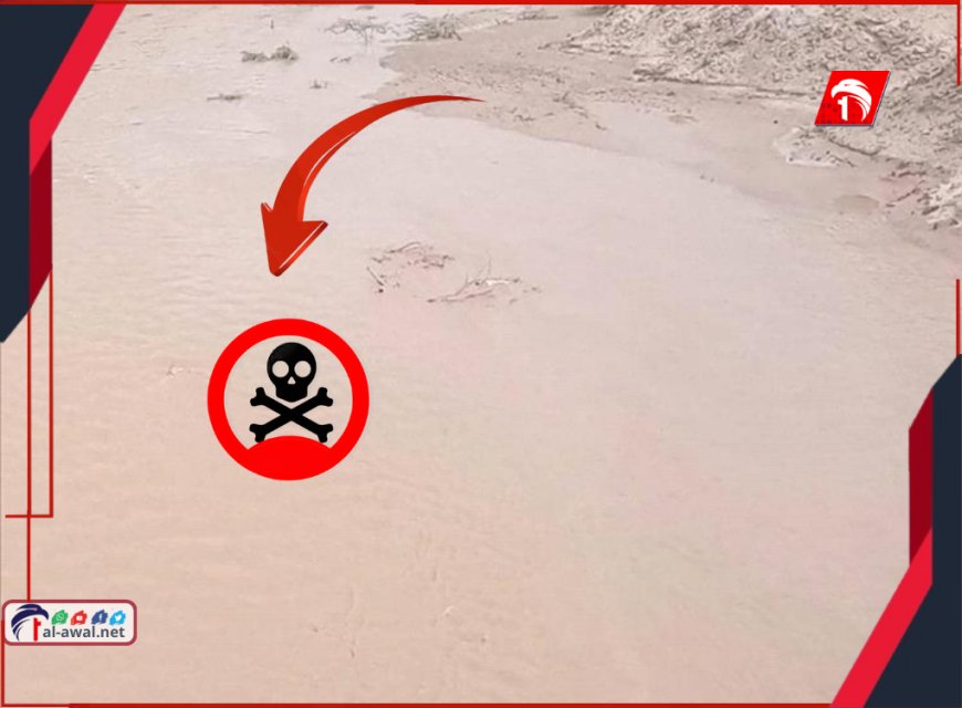 مصيبة أحور الكبرى.. غرق 5 نساء من أسرة واحدة في حفرة مائية
