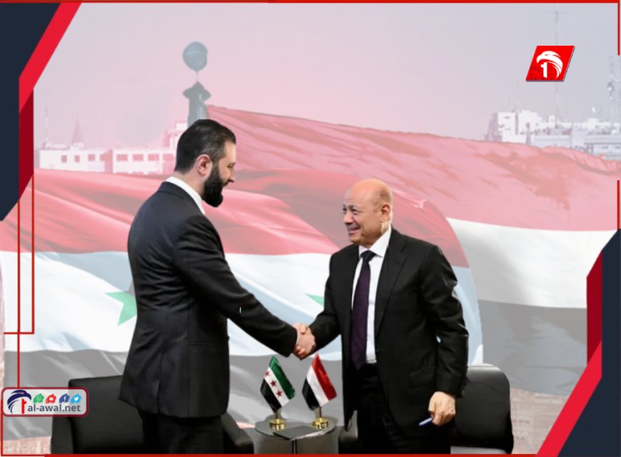 الرئيس العليمي يلتقي نظيره السوري الشرع ويؤكد دعم اليمن لوحدة سوريا