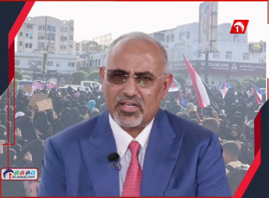 تصريح مفاجئ!!.. الزٌبيدي يدعو لانتخابات في المحافظات المحررة وإشراك (الشعب)