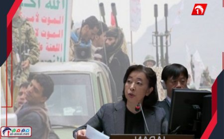 (3) شركات يمنية على القائمة السوداء.. اليابان تكشف خيوط دعم التهريب الإيراني للحوثيين