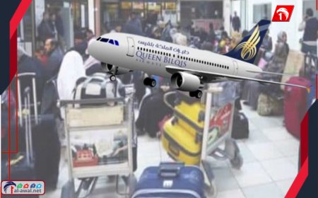 بعد إعادتهم من المطار.. شركة طيران بلقيس تكشف تفاصيل أزمة ركاب القاهرة