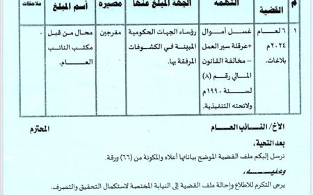 فضيحة مالية بالوثائق.. . 200 جهة حكومية تور إلى 19 بنك خاص وصرافة هيئة مكافحة الفساد تكشفها بالأسماء