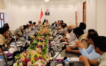 تنفيذي مأرب يشكل لجنة لفحص الجهات الايرادية واحالة المخالفين للقضاء