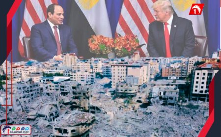 قد يزور (غزة)!.. ترامب: ربما سأذهب إلى مصر يوم الأحد