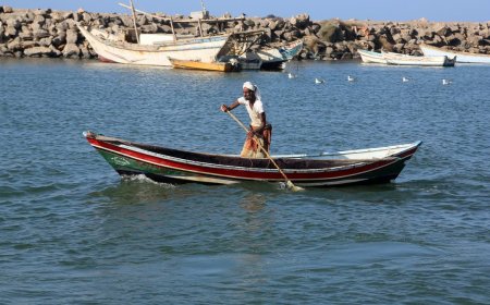 البحر اليمني: قصة اقتصاد أزرق يبني مستقبل الوطن