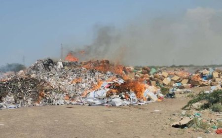 إتلاف 80 طنًا من السجائر والمعسلات المهربة في المخا