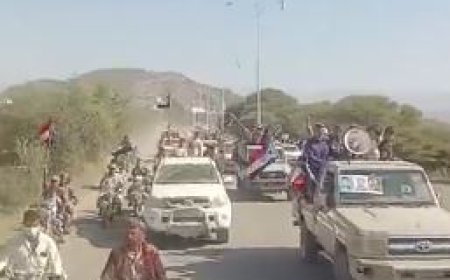 بقيادة الشنفرة.. احتفالات كبيرة في الضالع بذكرى 14 أكتوبر