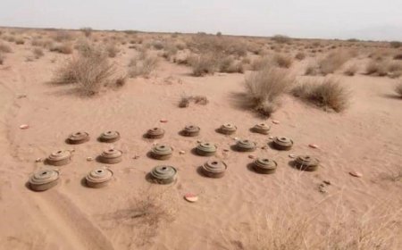 تحذير دولي من مخاطر الألغام في اليمن