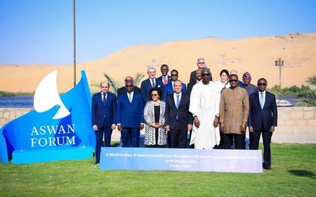 وزير الخارجية يشارك في منتدى أسوان للسلم والتنمية المستدامة