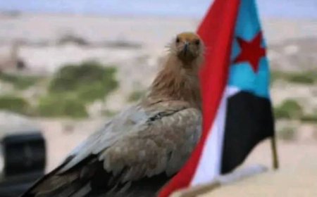 الناشط الحقوقي الجنوبي أسعد أبو الخطاب يوجه رسالة إلى القيادة الجنوبية: "حتى لا تتكرر المسرحية..غيروا الممثلين والخونة"..